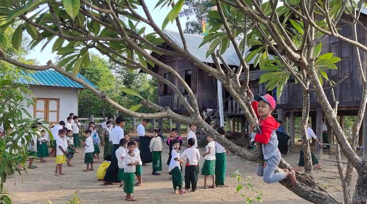 Boy in tree
